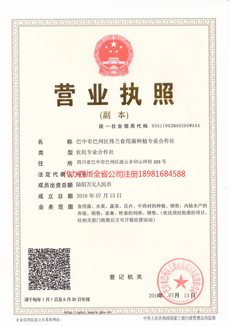 高州高州伟兰食用菌种植专业合作社